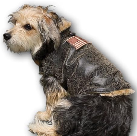 dog flying jacket