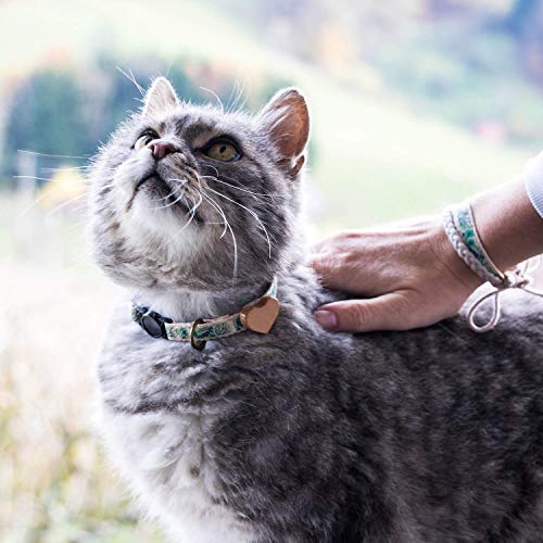 pettsie cat collar