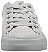 DC Women's Danni TX SE Skate Shoe