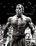 Arnold Schwarzenegger poster 32 inch x 24 inch / 17 inch x 13 inch