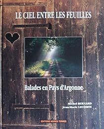 Le  ciel entre les feuilles