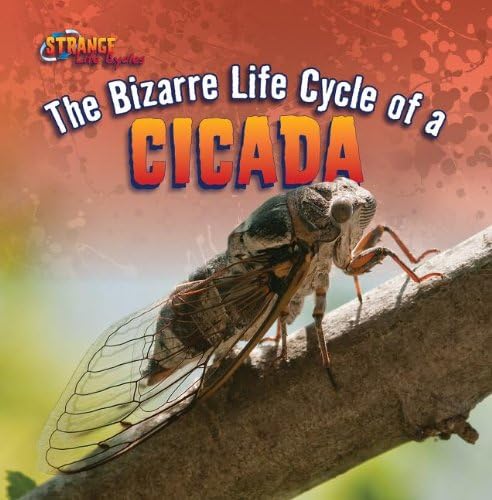 The Bizarre Life Cycle of a Cicada (Strange Life Cycles) Paperback – August 1, 2012