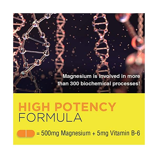 Natures Life Magnesium 500mg High Potency Magnesium Supplement Plus Vitamin B6 for Muscle