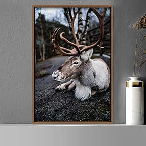 signwin Framed Canvas Wall Art Deer Animals Deer...