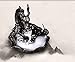 Celawork Dragon Incense Holder Incense Burner Backflow Dragon (Dragon)