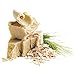 St. Ives Body Wash, Oatmeal and Shea Butter, 24 Fl Oz