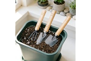 3PCS Small Garden Tools Set - Mini Garden Tools Set with Trowel, Shovel & Hand Rake Made of Rust-Resistant Iron & Solid Wood 