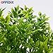 OFFIDIX Potted Artificial Plastic Plants,Mini Faux Plant with White Pots Plant Decorations Indoor Fake Desk Plant for Home and Office Desktop Decor 1pc