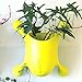 Livi Palm Pot – Sunflower Yellow – Indoor Suctioned Window/Wall Planter for Plants and Herbsthumb 1