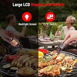 TempPro F05 Digital Meat Thermometer for Cooking