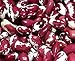 Organic Anasazi Beans 8 Lb. Bag Product of USA (8 lb)