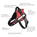 Pawshoppie Real Reflective Service Dog Vest Harness 2 Free Removable Service Dog 2 “Emotional Support” Patches, Woven Polyester & Nylon, Comfy Soft Padding (XS(Girth:18-22''), Red)