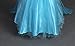 Snow Queen Elsa Princess Party Dress Costume with Accessories (2-3, Style 2)