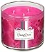 Bath & Body Works Candle 3 Wick 14.5 Ounce 2015 Party Dress