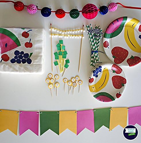 40% off limited time! Party Pack : "Summer Picnic" One-of-a-Kind Party Decorations In a Box