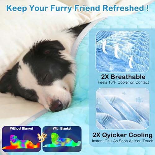 Vivifying Couverture rafraîchissante pour Chien 152 x 101 cm, Tapis réversible en Soie glacée avec Dos en Peluche Douce, Couverture d’été pour canapé, lit, Cage, Sol et Voyage (Bleu/Gris)