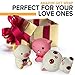 High5Me 3 PCS Jumbo Squishies Pack – Super Cute Kawaii, Slow Rising, Animal Squishy Toys Set (2 Kittys Plus Bear) Fun for Kids, Teens & Adults.