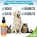 Bodhi Dog Natural Dog Cologne (Orange Sherbert) - Premium Scented Deodorizing Pet Perfume with Conditioner for Dogs & Cats - Keeps Pets Fresh & Clean - Gentle and Safe Formula, Made in USA (4 Fl Oz)