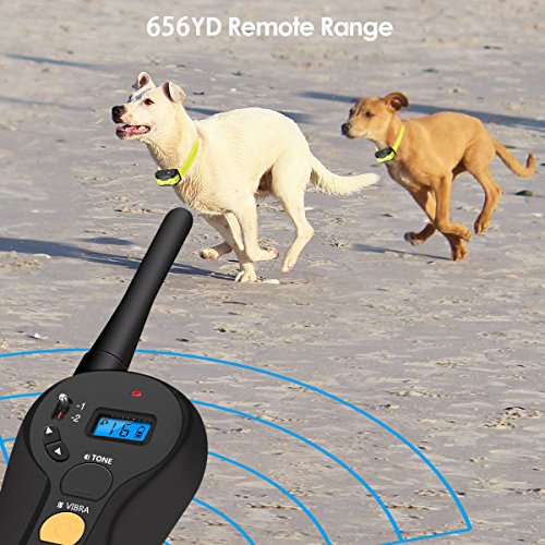 focuspet dog training collar