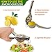 Chef Wonders Lemon Squeezer Heavy Duty Stainless Steel Grade 304 with Citrus Sprayer Set