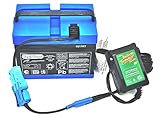 Peg Perego 12 Volt Blue Battery IAKB0501 and Fully Automatic Battery Tender Quick Charger Combo Pack by CBC