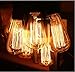 Kiven Vintage Edison Bulb Tungsten Wire - 110 Volts - Dimmable - 230 Lumens -2200K Warm Temperature Antique Light Bulb (60w)