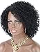 Kalyss Short Big Afro Kinky Curly Wigs for Women Premium Synthetic Hair Wigs with Hair Bangs 150% Density Bouncy and Full Natural Looking Hair Replacement Wig