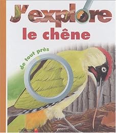 J'explore le chêne