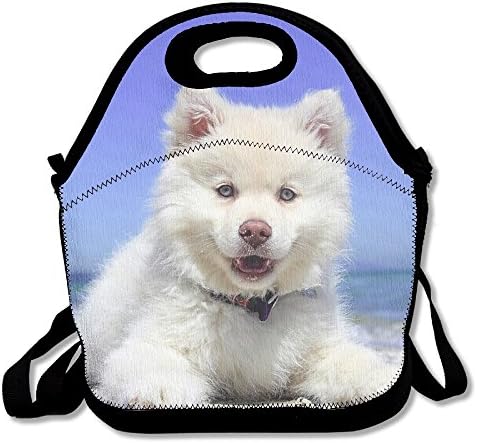 DogLunch Tote, Lunch Boxes Lunch Bags Picnic Lunch Bag.