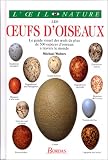Les oeufs d'oiseaux by 
