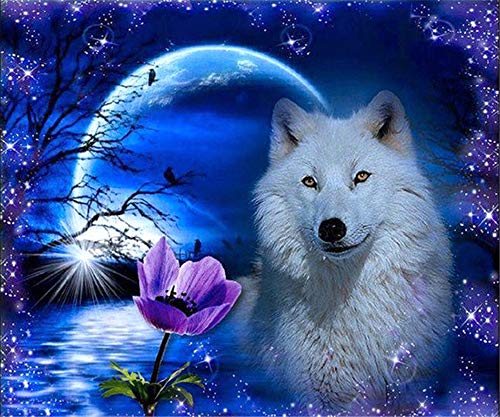 Rando DIY 5D Diamond Painting by Number Kits for Kids & Adults Beginner, Crystal Rhinestone Embroidery Paintings Pictures Cross Stitch Arts Craft Canvas Wall Decor, Full Drill, 11.8"x15.7" Wolves