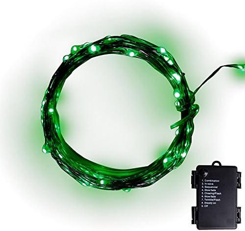 Pansdore Christmas String Lights 30 LED for Indoor Outdoor Copper Wire Green 8 Modes