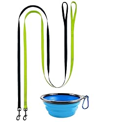 DOYOO 2 Pack Puppy Dog Leash Cat Leash, Strong and