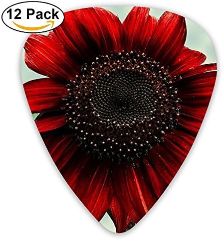 Yenba Foral Sunflower Thin Bass Medium Guitar Picks (12-Pack) Kids Large 0.46/0.71/0.96 Mm Guitar