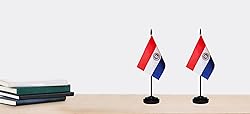 Paraguay Paraguayan Small Mini Desk Flag Set