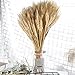 Wedding Decorations Dried Wheat Sheaves,100pcs Natural Wheat Bouquet Bunch Stalk Bundle,Bride and Groom Holding Flowers,DIY Home Kitchen Table Wedding Centerpieces (a)