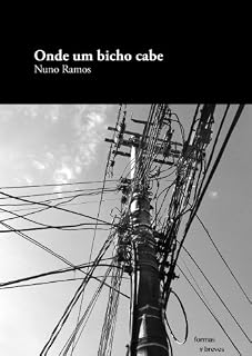 Livro Onde um bicho cabe (Formas Breves)
