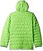Columbia Little Boys' Powder Lite Puffer Jacket, Green Mamba, X-Small