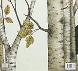 Image de El moment perfecte