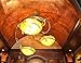 Birsppy Veneziano Venetian Plaster by Vasari - Smooth Finish - makes 5 gallons