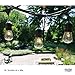 Fulton Illuminations S14 24 Bulbs Outdoor String Lights with 6 Extra Bulbs and 13 Ft Extension Cord, 48 Feet - Commercial Weatherproof Patio String Lights