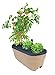 Emsco Group Bloomers Railing Planter with Drainage Holes – 24