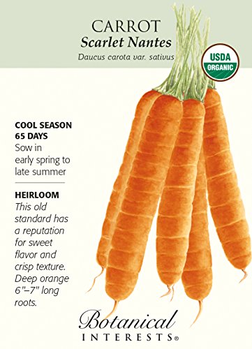 Scarlet Nantes Carrot Seeds - 1 gram - Organic Scarlet Nantes Carrot Seeds - 1 gram - Organic