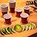 2oz Mini Red Solo Cups - 100 Count - Disposable Tiny Shot Glasses & Party Shooters - Great for Alcohol Tasting, Tailgates, Jager Bombs, Roulette, Wine, Beer, Liquor - Party Supplies
