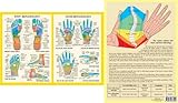 Image de Hand & Foot Reflexology -- A4