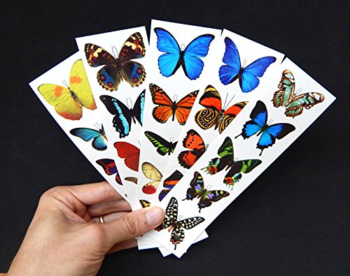 1 Temporary+Butterfly+Tattoos+Free+Shipping