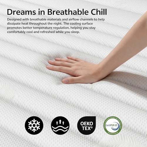 Queen Mattress 10 Inch Hybrid, Medium Firm, Memory Foam & Pocket Springs, Pressure Relief Mattresses, Safe Materials, CertiPUR-US Certified, Mattress Queen in a Box