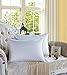 L LOVSOUL Set of 2 White Goose Down and Feather Bed Pillows - Triple Chambers Design, 1000TC 100% Egyptian Cotton Fabric Standard/Queen Size, Soft Pillow