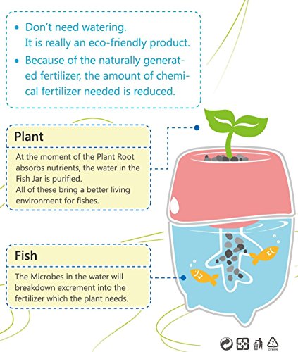 Dr-Moss-Aquaponic-Fish-Tank-Aquarium-for-Betta-Fish-with-Water-Garden-Planter-Top-Lid-Natural-Ecosystem-for-Plant-Growth-Blue