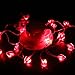 LEORX Heart Shaped Valentine Day Lights 10 Ft. 2 Modes for Valentine Day Decorations & Supplies